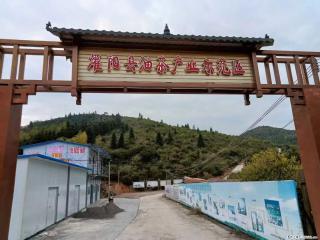 【灌阳县油茶产业示范区】一个有着充实的精神生活的人,对待身外之物自会有一种淡泊的态度 - 攀枝花28生活网 panzhihua.28life.com