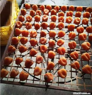 广西桂林平乐桥亭【柿饼之乡】2025年纯手工制作、无任何添加剂的第一批柿饼准备上市了，欢迎联系订购！ - 攀枝花28生活网 panzhihua.28life.com