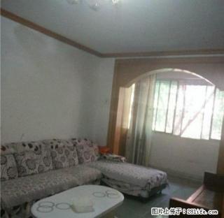 申通快递楼上 套三出租 家具家电齐全 拎包入住 - 攀枝花28生活网 panzhihua.28life.com