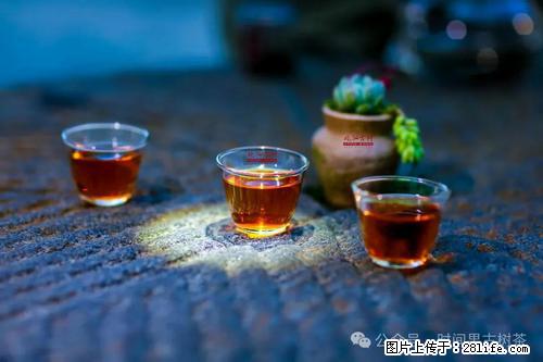 时间果百年古树2025年春红茶 - 购物交流 - 攀枝花生活社区 - 攀枝花28生活网 panzhihua.28life.com