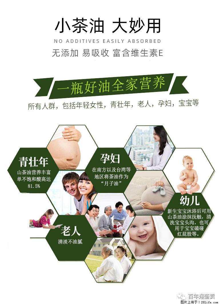 世界没有真相,只有认知,最好的食用油是中国的山茶油! - 攀枝花生活资讯 - 攀枝花28生活网 panzhihua.28life.com
