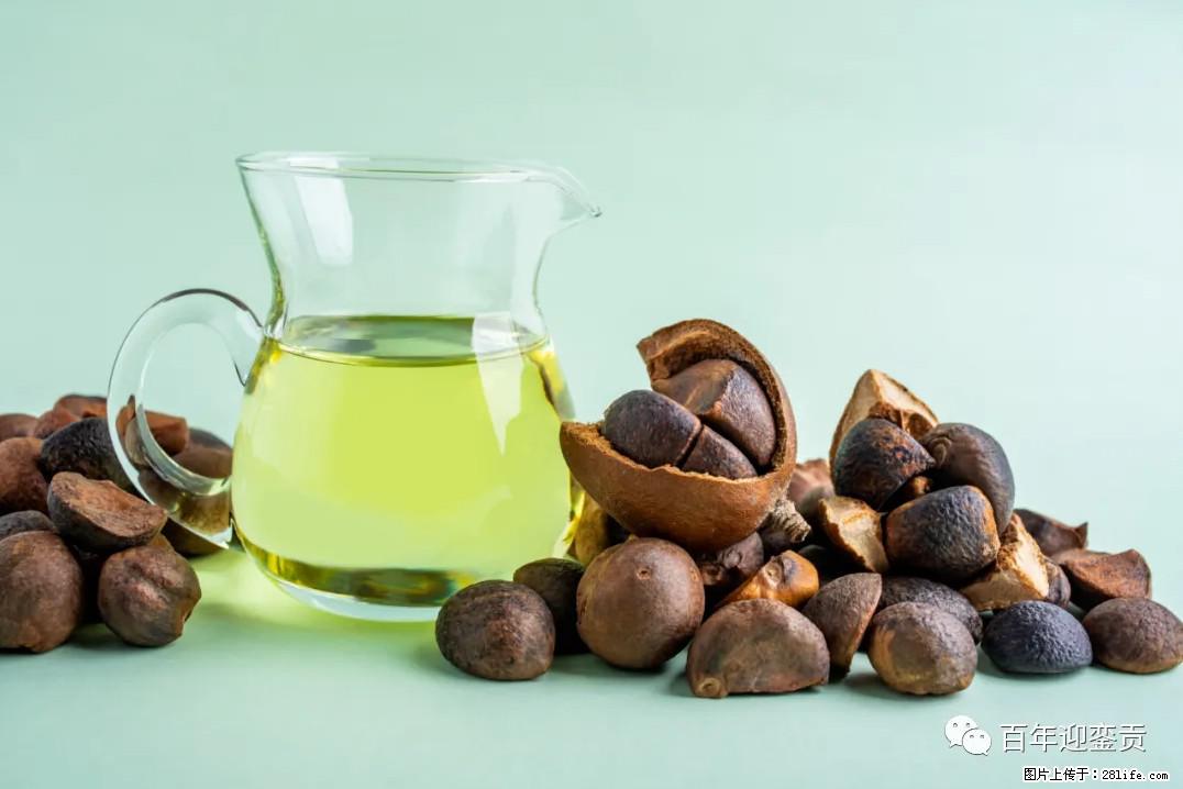 世界没有真相，只有认知，最好的食用油是中国的山茶油！ - 攀枝花生活资讯 - 攀枝花28生活网 panzhihua.28life.com