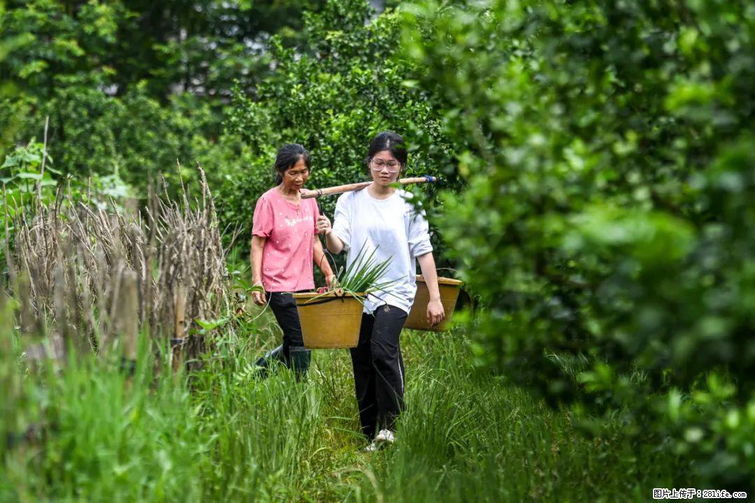 全网追的“扁担女孩”,找了一份暑假工,时薪12元 - 攀枝花生活资讯 - 攀枝花28生活网 panzhihua.28life.com