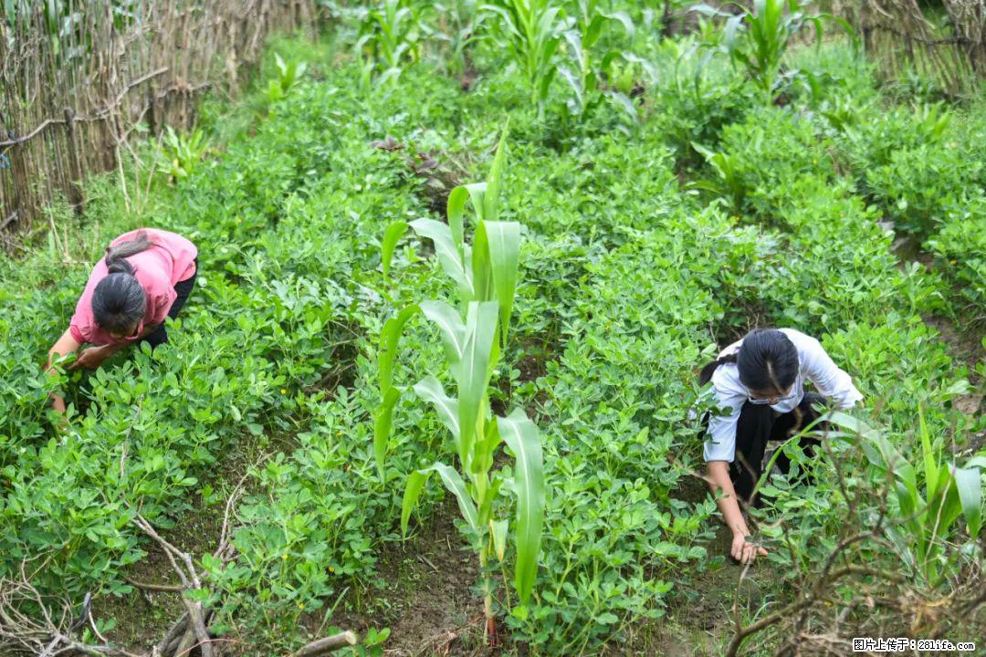 全网追的“扁担女孩”,找了一份暑假工,时薪12元 - 攀枝花生活资讯 - 攀枝花28生活网 panzhihua.28life.com