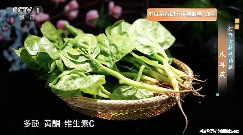 比牛奶补钙还厉害!凉血解毒、稳血糖...这菜冬天必吃,很多人却当草 - 攀枝花生活资讯 - 攀枝花28生活网 panzhihua.28life.com