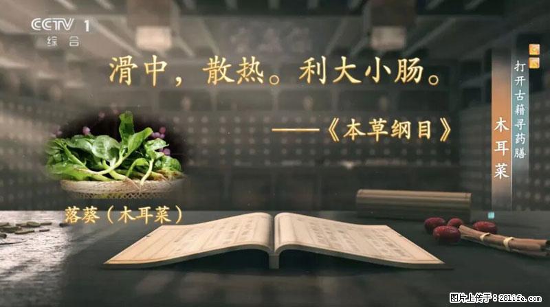 比牛奶补钙还厉害!凉血解毒、稳血糖...这菜冬天必吃,很多人却当草 - 攀枝花生活资讯 - 攀枝花28生活网 panzhihua.28life.com