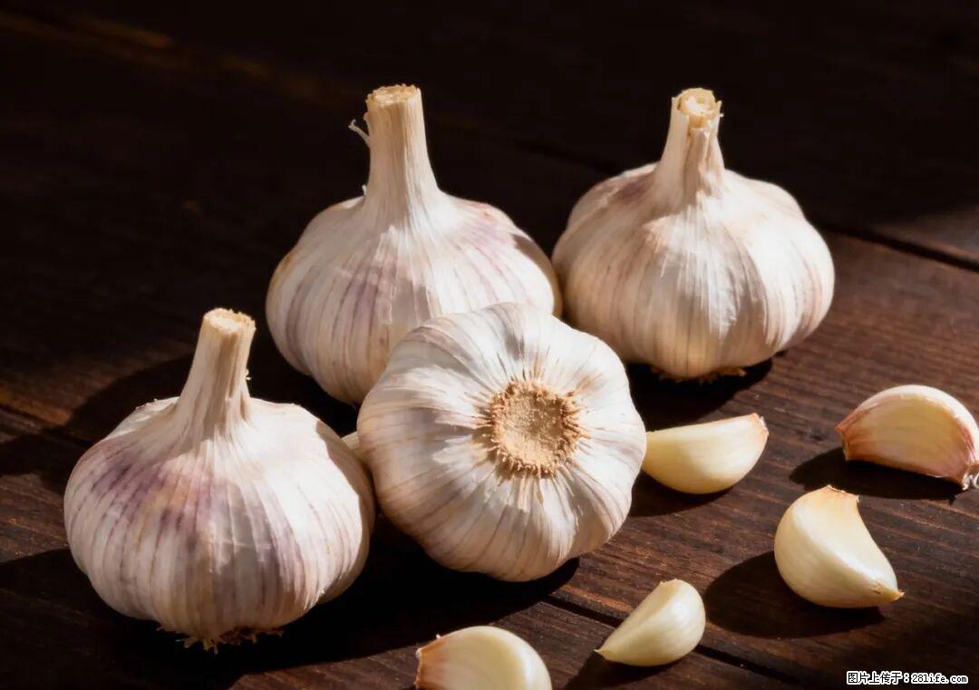 关于大蒜，除了“天然抗生素”，这4个谣言更该警惕! - 攀枝花生活资讯 - 攀枝花28生活网 panzhihua.28life.com