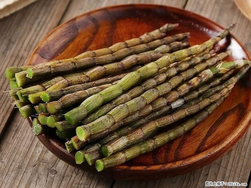 铁皮石斛的作用与功能主治 - 攀枝花生活资讯 - 攀枝花28生活网 panzhihua.28life.com