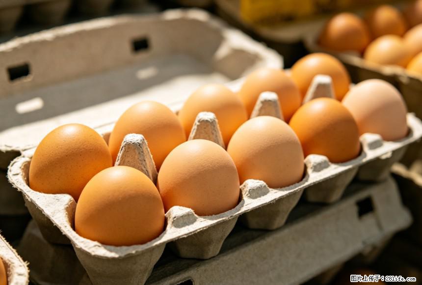 每天吃1个鸡蛋，全身收获9大好处！ - 攀枝花生活资讯 - 攀枝花28生活网 panzhihua.28life.com